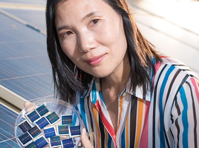 UNSW solar pioneer named Physical Scientist of the Year